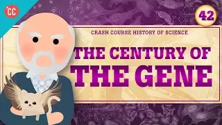 The Century of the Gene: Crash Course History of Science #42