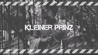 Pashanim - Kleiner Prinz (slowed+reverb)