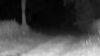 Unsichtbares Nachtsichtgerät digitales Nachtsichtfernglas Bresser NightSpyDIGI Pro HD 3,6X250m/940nm