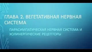 Физиология. Глава 2. ВНС. Часть 4. Парасимпатическая нервная система и холинорецепторы.