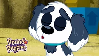 Pound Puppies Season 3 - 'Yo Yo, the Singing Pup!' Official Clip