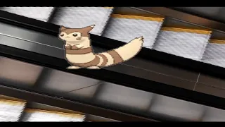 FURRET ESCALTOR POGRE