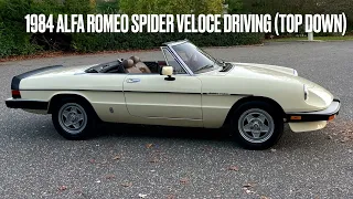 1984 Alfa Romeo Spider Veloce Driving Top Down