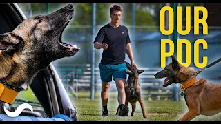 My First Dog Sport Trial - PSA PDC with Crazy - Missouri 2022