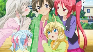 Top 10 etty harem anime Where Many Girls are Obsessed with the Main Character