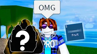 The Roblox Blox Fruits Experience 6