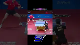 Amazing counter Topspin FAN ZHENDONG VS XU XIN #shorts