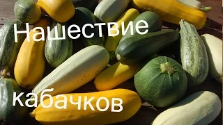 Нашествие кабачков - как с ним бороться? // Из города в деревню