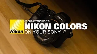 Getting Nikon Colors on Sony Cameras | Tips & Tricks