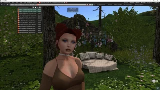 SL Tech:  Intro to the Catznip Viewer
