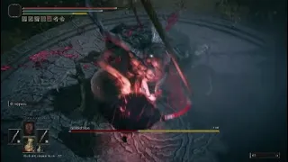 OP Bleed build VZ Main bosses of Elden Ring