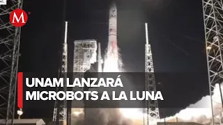 El proyecto 'Colmena' será lanzado a la Luna en las próximas horas