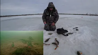 ЗРЕЛИЩНЫЕ ПОКЛЕВКИ ОКУНЕЙ НА ПОДВОДНУЮ КАМЕРУ😯ЗАКРЫВАЕМ СЕЗОН ТВЕРДОЙ ВОДЫ 18 МАЯ🎣🐬