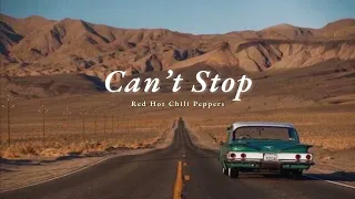 Vietsub | Cant Stop Red - Hot Chili Peppers | Lyrics Video