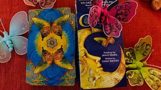 Таро Хризалиды 🦋Chrysalis Tarot 🦋 Распаковка и мои первые впечатления.