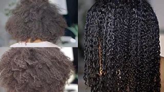 TRANSFORMING MY CURLS WITH THE MAXIMUM HYDRATION METHOD !