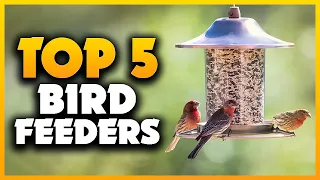 Top 5 Best Bird Feeders 2023 [Don't Buy Until You Watch This]