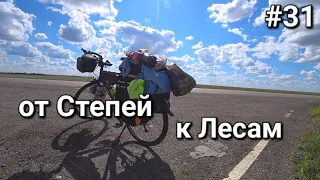 Россия-Казахстан, природа изменилась! от степей к лесам