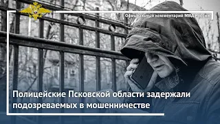 Ирина Волк: Полицейские Псковской области задержали подозреваемых в мошенничестве
