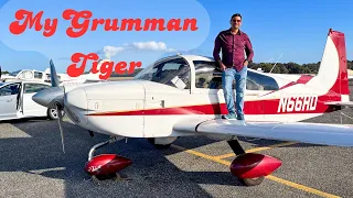 10 Years of Owning Grumman Tiger - Learn all about my airplane! #grumman #airplane