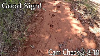 August 5th 2018 Trail Cam Check!