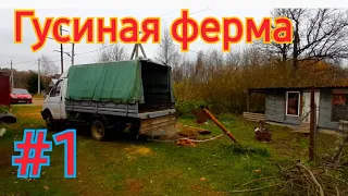 Гусиная ферма #1