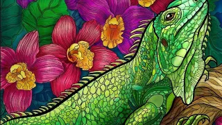 Relaxing and Fun Coloring : Iguana #coloringforrelaxation #relaxingcoloring #funcoloring