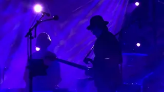 Southbound Pachyderm (Primus) - Les Claypool’s Fearless Flying Frog 🐸 Brigade Live at Marymoor Park