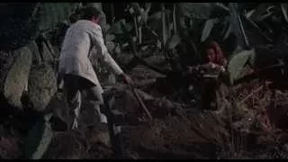 Bring Me the Head of Alfredo Garcia (1974) - Exhumation Scene