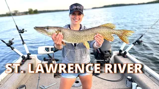 Trolling the Saint Lawrence River - Thousand Islands for Northern Pike! (Bonus Bass!!!)