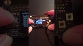 P4wnP1 oled payload select