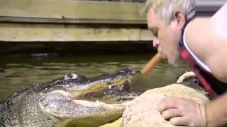 Смертельный номер с крокодилом