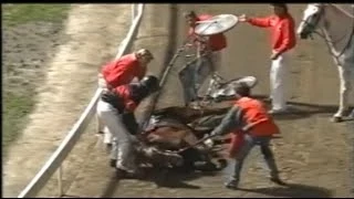 Harness Racing Accident,Harold Park-03/05/1991 (Sirssamm-D.S.Lang)