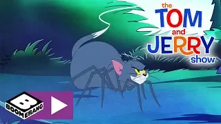 The Tom and Jerry Show  | Spider Tom | Boomerang UK 🇬🇧