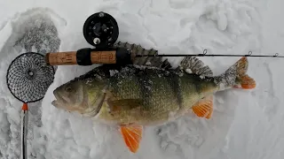 Ešerys žiemą / Ice fishing for perch