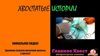 ШОКИРУЮЩЕЕ ВИДЕО! РАК МОЛОЧНОЙ ЖЕЛЕЗЫ! ОПЕРАЦИЯ!