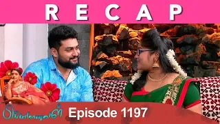 RECAP : Priyamanaval Episode 1197, 18/12/18