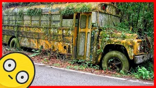 Abandoned school bus. Old abandoned rusty buses