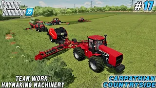 Modernizing the CASE Planter, Harvesting 634K Liters of Hay | Carpathian Farm | FS 22 | ep #17