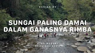 GUNUNG LEUSER - Atap Negeri Aceh #3