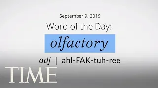 Word Of The Day: OLFACTORY | Merriam-Webster Word Of The Day | TIME