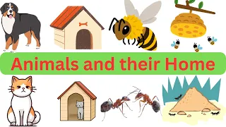 Animals and their Homes | Animals home | Home of animals | Animal homes | Animal shelter for kids