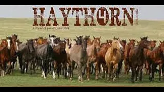 AWARD WINNING RANCHES •  HAYTHORN • BOGLE LTD. •  STUART RANCH