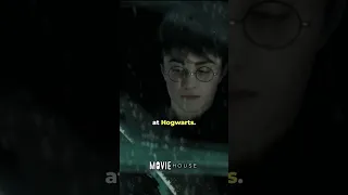 Did you know that in Harry Potter