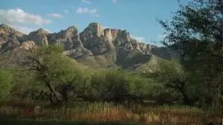 Introduction to Arizona's Sky Islands