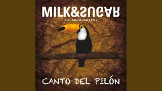 Canto del Pilón (Original Mix)