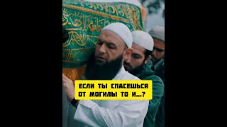 Если спасешься от могилы то остальное будет успешным. #shorts