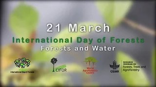 International Day of Forests 2016: A Conversation with the DGs of CIFOR and ICRAF (Part 1)