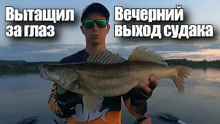 ВЫТАЩИЛ СУДАКА ЗА ГЛАЗ! ВЕЧЕРНИЙ ВЫХОД СУДАКА.