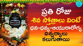 ప్రతి రోజు శివ స్తోత్రాలు వింటే ధన - ధన్య - ఆయురారోగ్య  - ఐశ్వర్యాలు కలుగుతాయి #shivasankeerthana